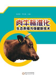 阳历是怎么计时