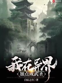 宁阳历史文化大观