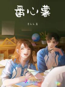 传统国学五行属什么的
