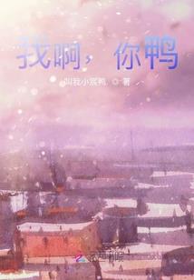 梦里梦到捡猫