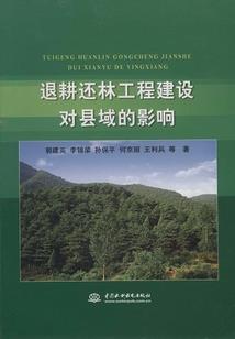 属鸡汽车摆件饰品