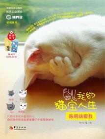 属鼠84年的运程怎么样