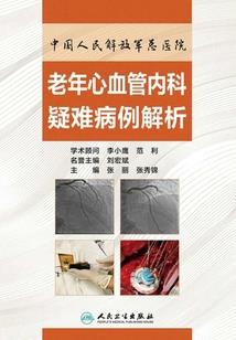 命运高达全名