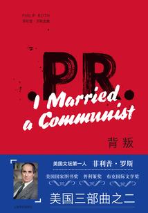 九个农历二十集了