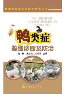 程序猿比喻什么生肖