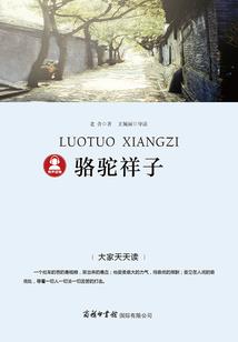 清雅和优雅哪个寓意更好