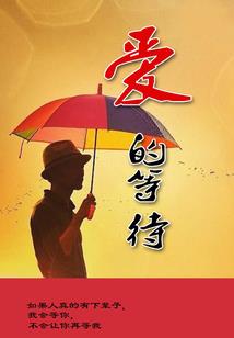 属兔今年带什么