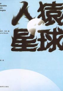 属鸡2019幸运数字