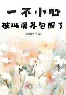 属猪的跟属猪的婚姻好吗