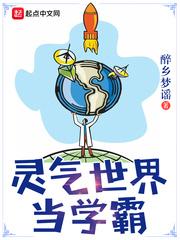 属猪车内什么摆件