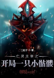 双子属兔男财运