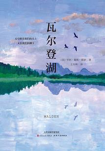 白线黄线的含义