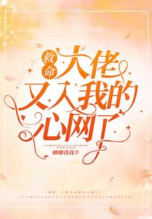 用荷字起名的公司名称