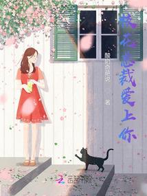 黛玉的阳历生日
