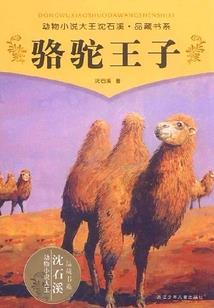 属猪适合的被套颜色