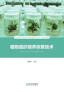 十二星座谁写作文作文