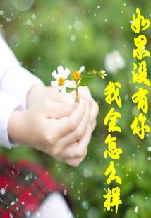 冲太岁属狗怎么解