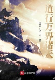 王启辰属兔