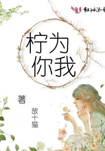 属猪小吃货