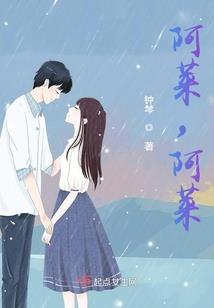 风水局小说下载