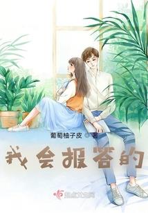 POS系统的中文含义是