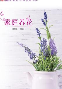 生肖狗的运程1984年