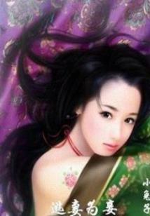 名字琪寓意好不好