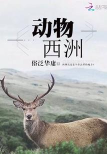 我们要为人类命运体