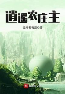 专业风水罗盘3.1