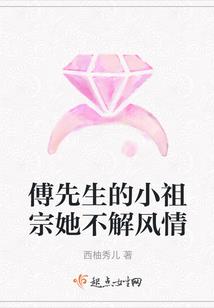 朗逸手风水