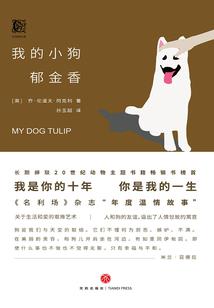 十二星座女追球排名