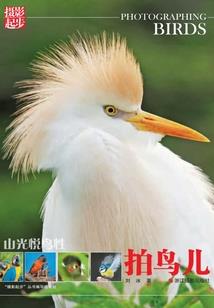 阳历兔阴历虎怎么取名字