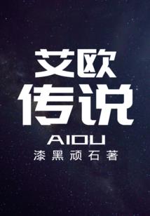 命运者小说