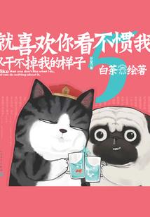 公交营运工作五行属啥