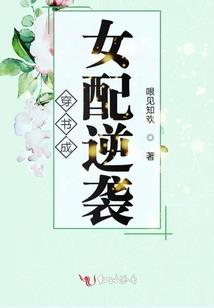 属猪避什么属相