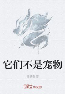 电感一词的含义
