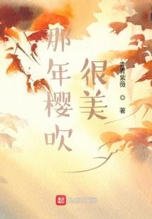 水上飞机风水视频