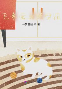 穿衣颜色黄历软件