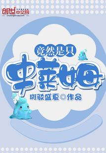 简易运气占卜