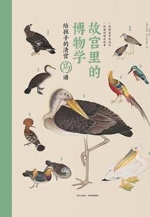 属猪女用什么网名招财