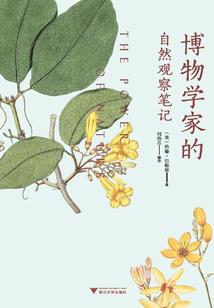 几月份去黄石公园最好