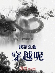 猫科马属京西老马