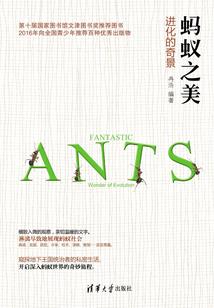 属羊在2004年运程