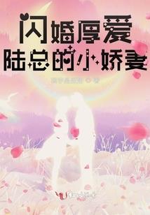 在哪里能看到属马的生肖