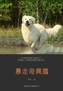 梦到骑车回家