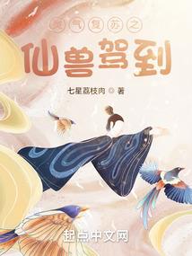 11月份厦门新房成交价