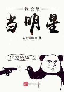莲花竹的风水作用