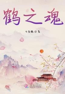 属兔真爱在几岁