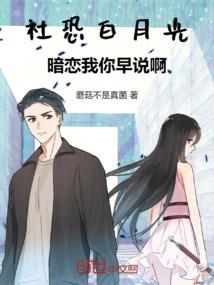 适合8月份旅游地方