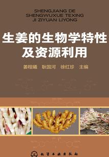 2属牛今年多大